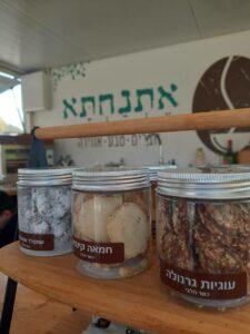 עגלת קפה אתנחתא טבעון 10