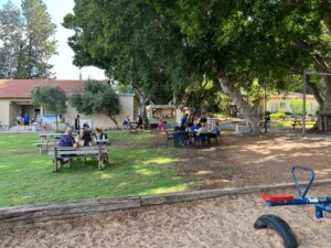 עגלת קפה קפה ממש עין ורד תמונה של המרחב