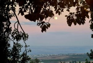 עגלת קפה ריטריט קפה ראש פינה 14