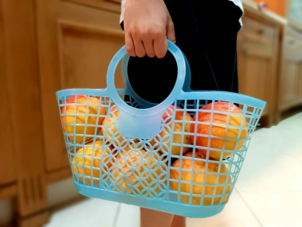 סל מלא במנגו