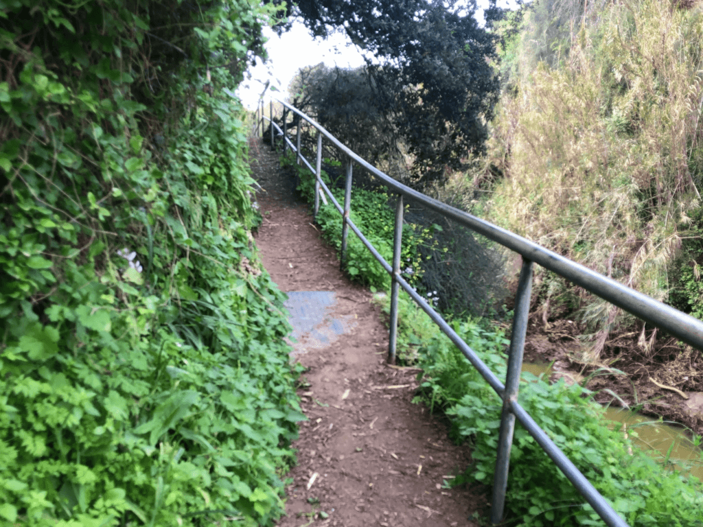 שמורת שער פולג איזור השרון, תמונת נוף