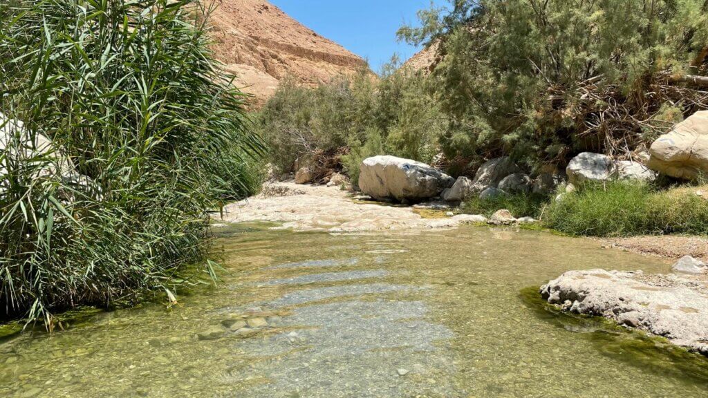 טיול עם ילדים בחנוכה 5 המלצות לטיול בחופשה תמונה של מים