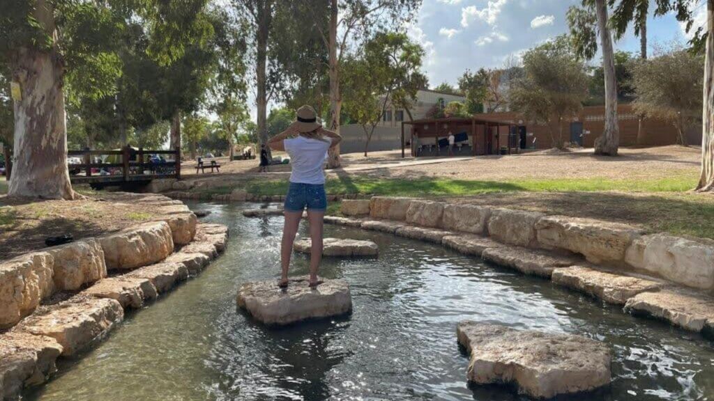 טיול באביב תמונה ראשית