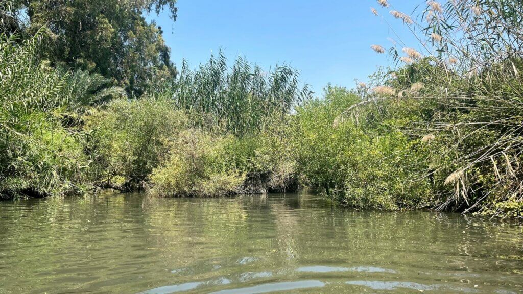 טיול אביב תמונה מגרסה