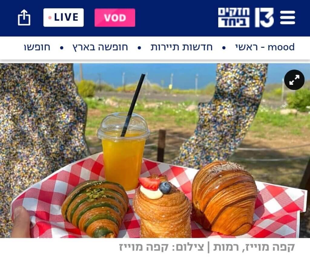 כתבה ערוץ 13