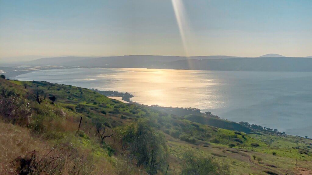 מצפה רונן