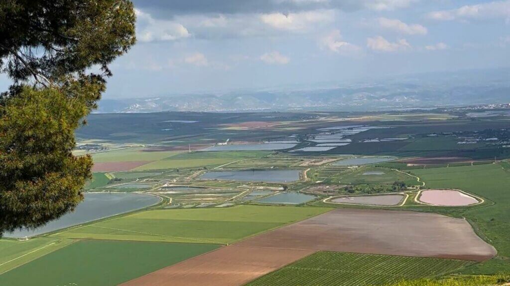 כתף שאול נוף