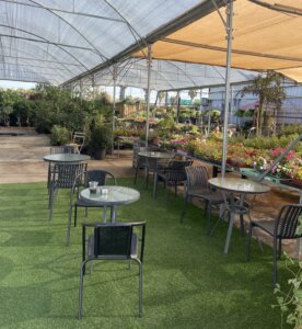 ירקפה עגלת קפה ירקונים פתח תקווה תמונה של שולחנות במשתלה