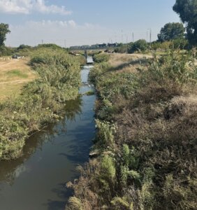 אשרקה עגלת קפה נחל אלכסנדר תמונה של נחל אלכסנדר
