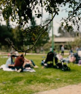 אשרקה עגלת קפה נחל אלכסנדר תמונה של אנשים על דשא