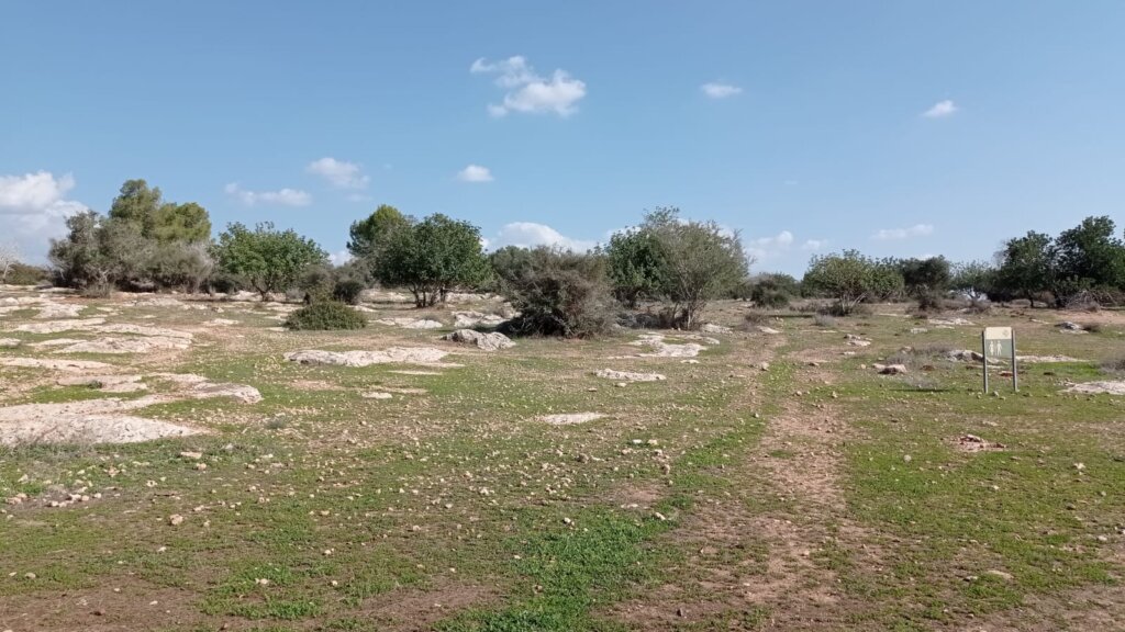עמק האלה תמונה של בית גוברין טיול בעמק האלה – מסלולים מומלצים ועגלות קפה בשפלה