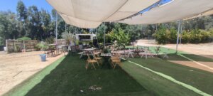 בארקה עגלת קפה תמונה של סביבת העגלה