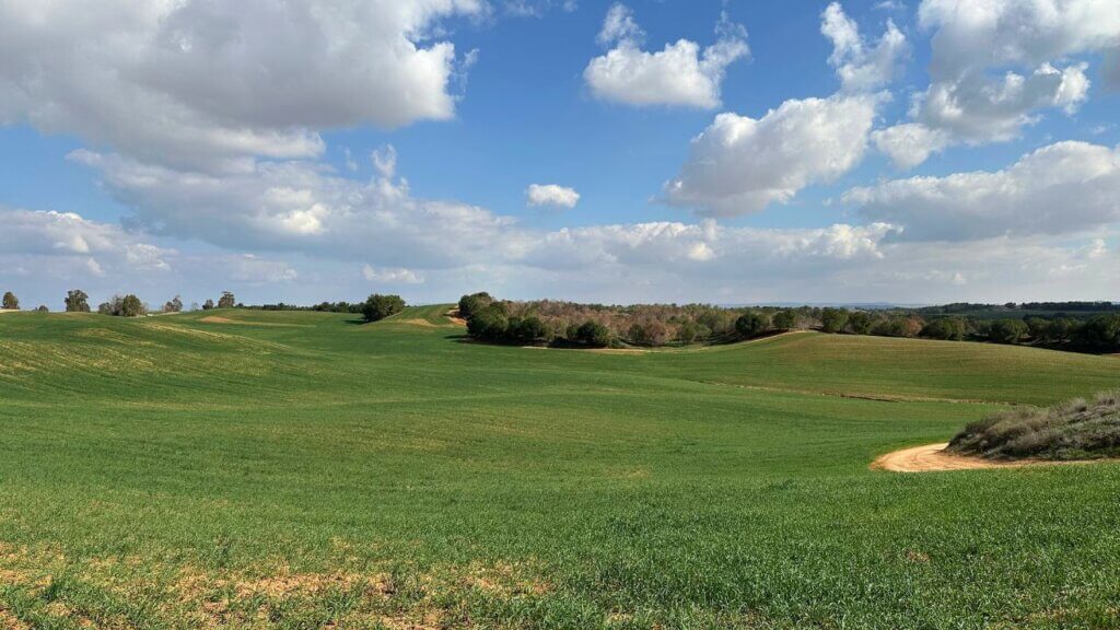 טיול בנגב הצפוני תמונה של בתרונות רוחמה