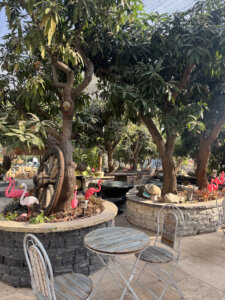 מיקא עגלת קפה רמת השרון תמונה של עצים