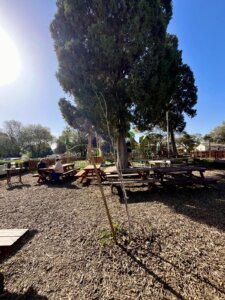 הגילברטס עגלת קפה קיבוץ רמת השופט תמונה של מרחב העגלה